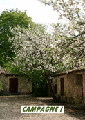 F&ecirc;te des fleurs : &eacute;vasion &agrave; la campagne